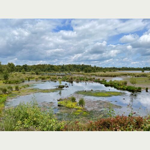 Moore sind mystische Orte, an denen es viel zu entdecken gibt